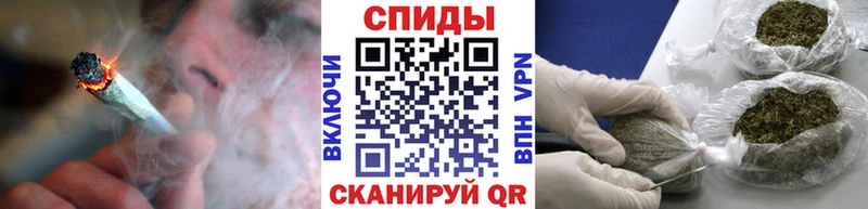 kraken ссылки  Шебекино  Бутират буратино 