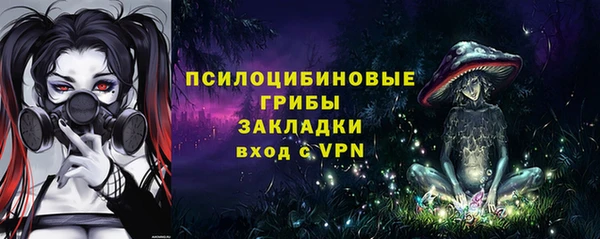 PSILOCYBIN Алзамай