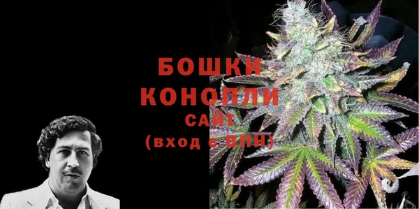 PSILOCYBIN Алзамай