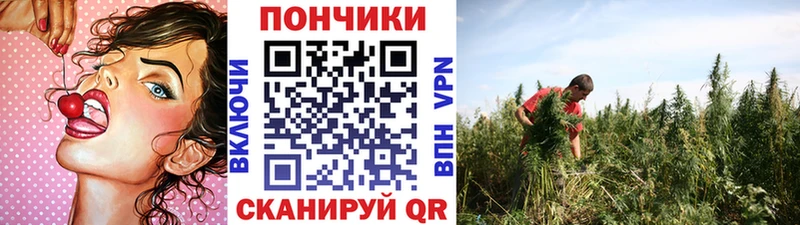 Шишки марихуана LSD WEED  даркнет клад  Шебекино 